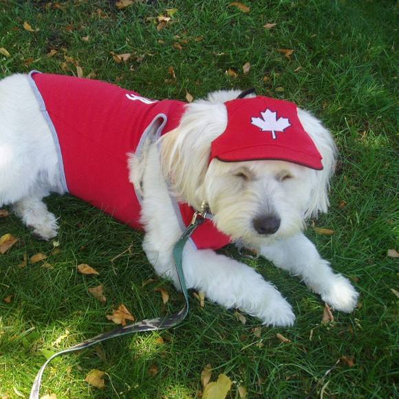 Meet your Posher, Andrea - Picture 1 of 1